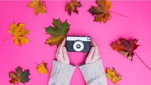 Are you looking for an easy way to improve your child's creativity? Here are 5 easy steps to begin teaching photography to your children.