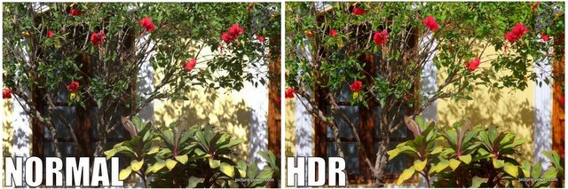 HDR Photography on Picture Power
