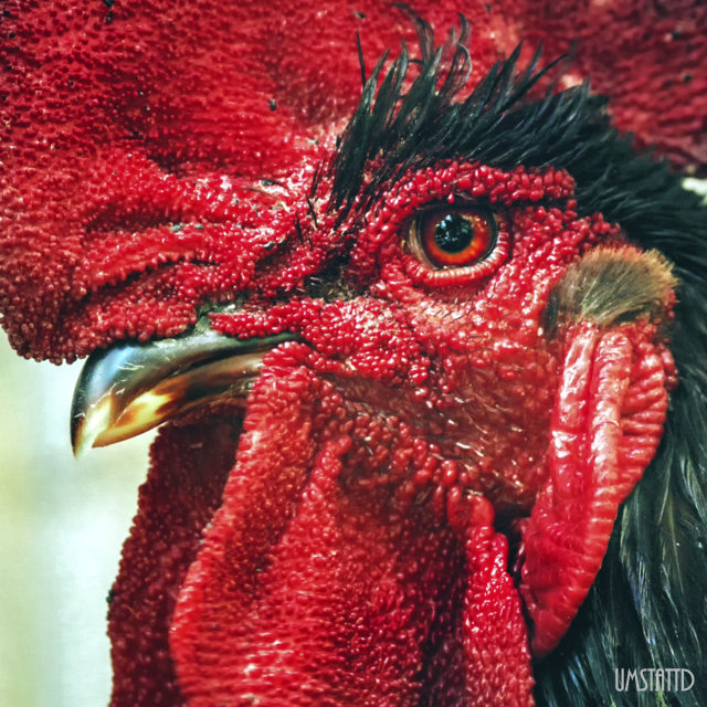 Lightroom has limitations. Good.