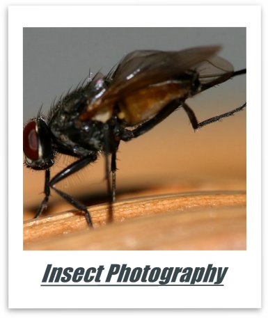 Lenses and other gear.