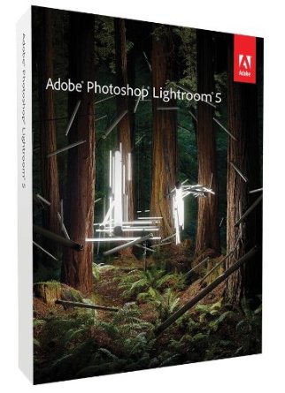 Digital versus Film Photography | Adobe Photoshop Lightroom