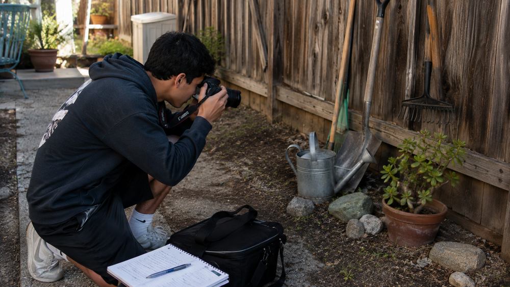 backyard photography assignment