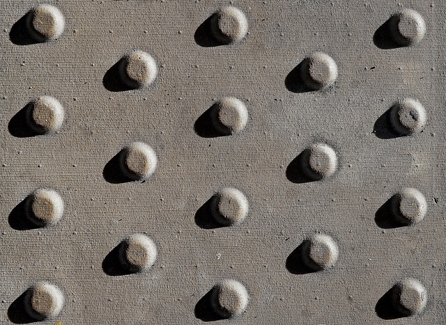 Photography Lessons for Kids photography lessons for kids