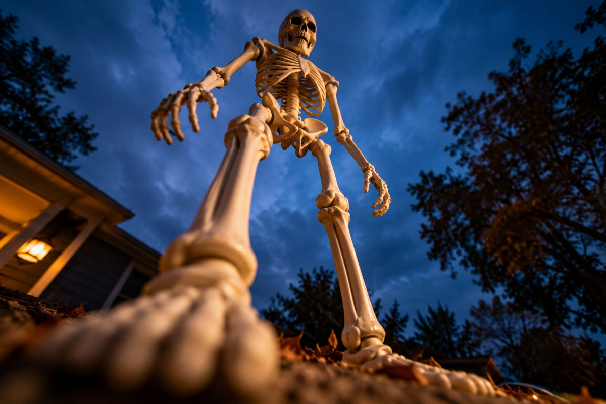 Giant Skeleton