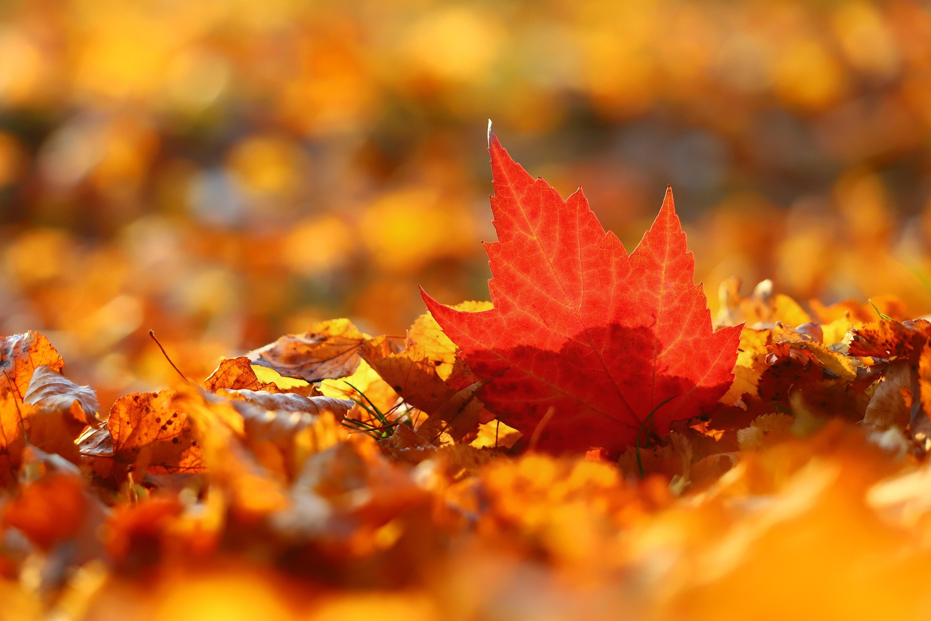 Photography in Education