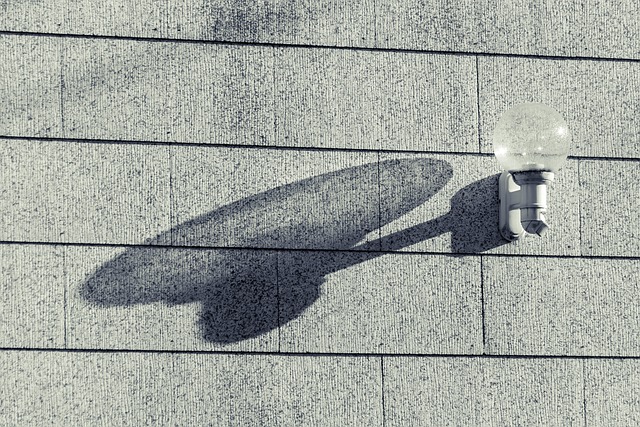 Photography Lessons for Kids