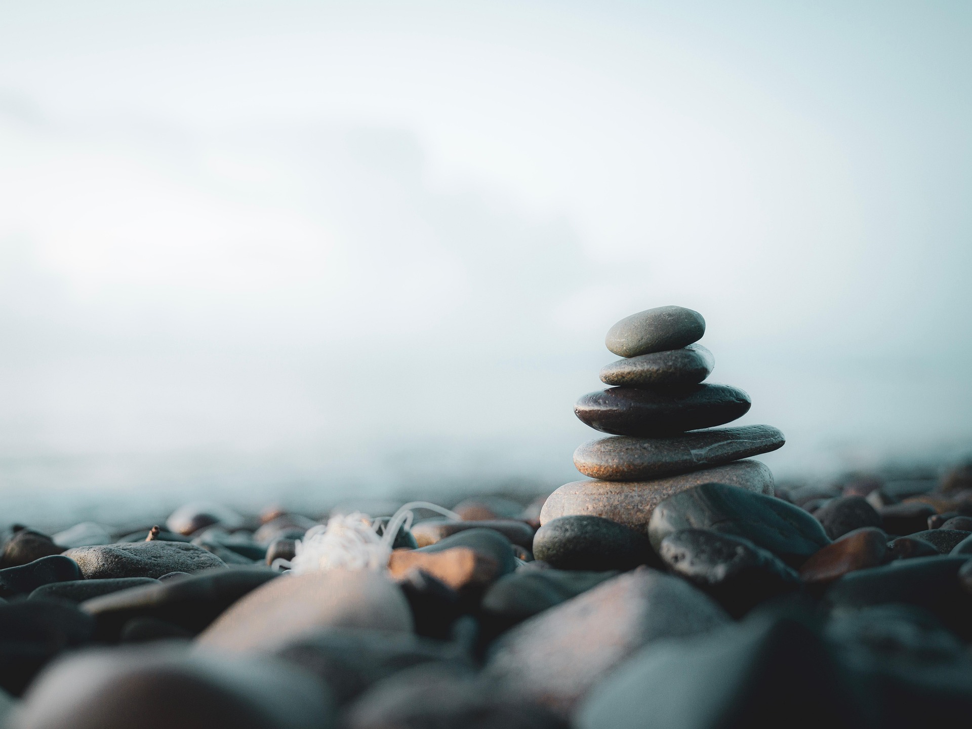 Teaching Photography