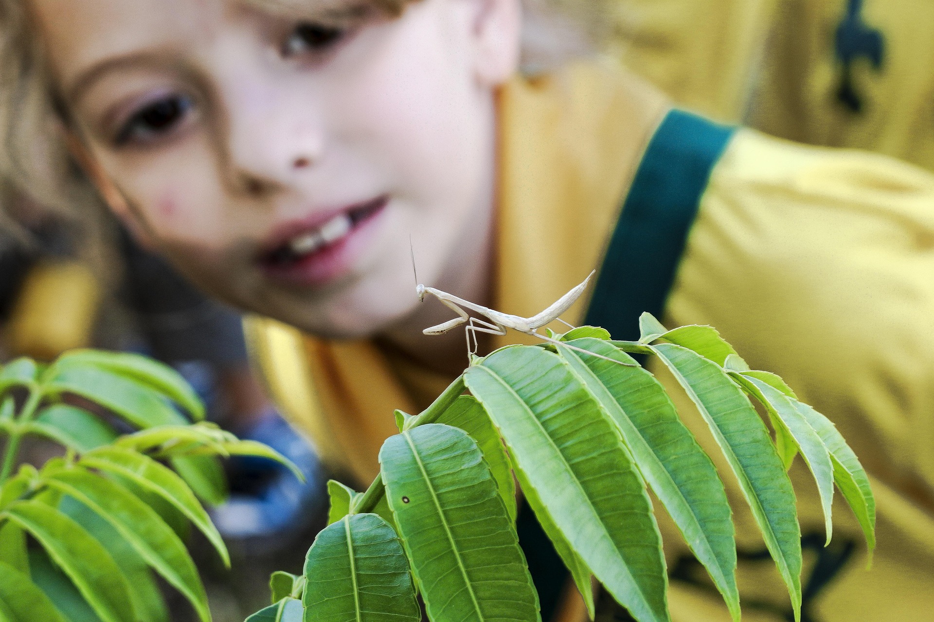 Photography in Education