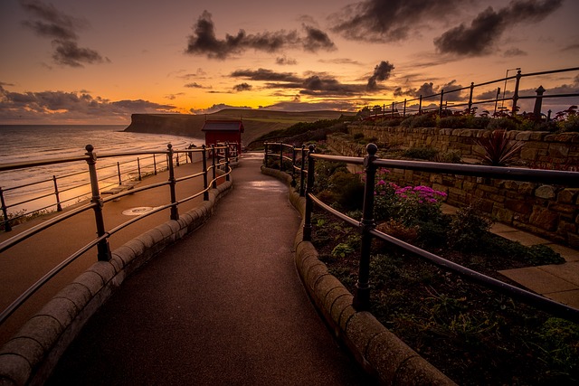 photography lessons for kids