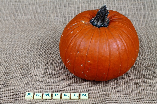 Photography Lesson Plans