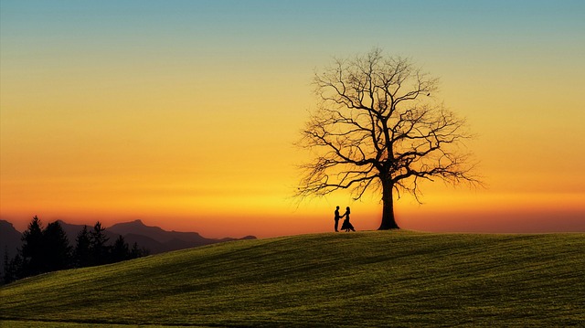 Photography Lesson Plans