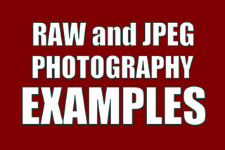 Raw vs JPEG Examples